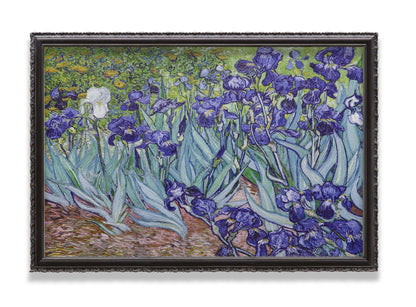 Irises Garden