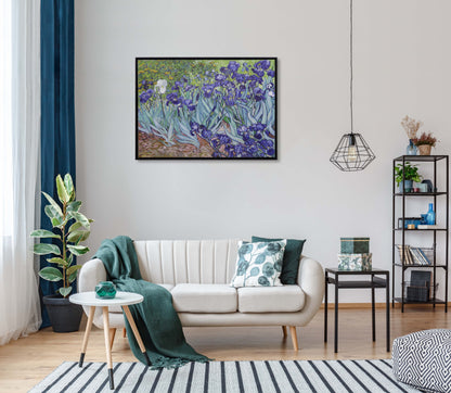 Irises Garden