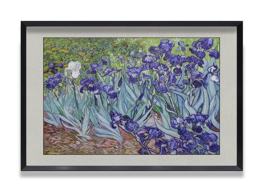 Irises Garden