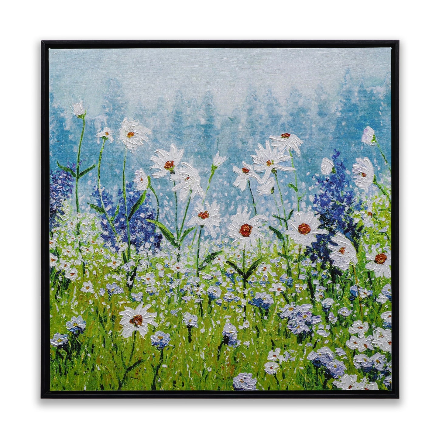 Daisies Field