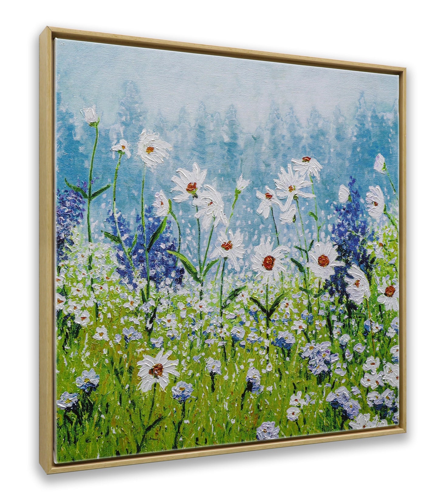 Daisies Field