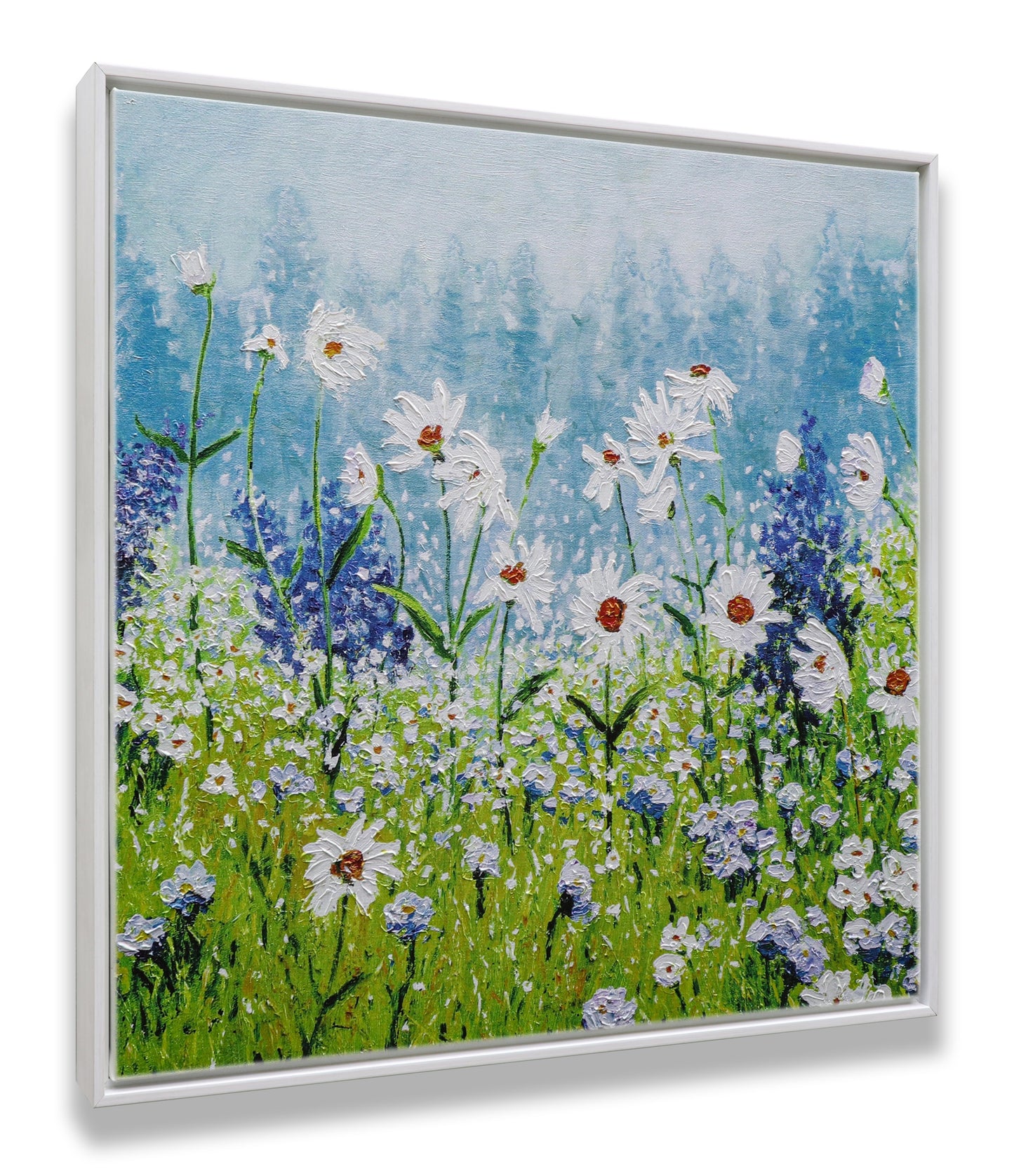 Daisies Field