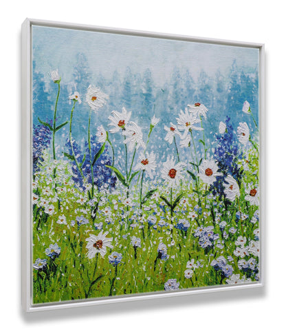 Daisies Field