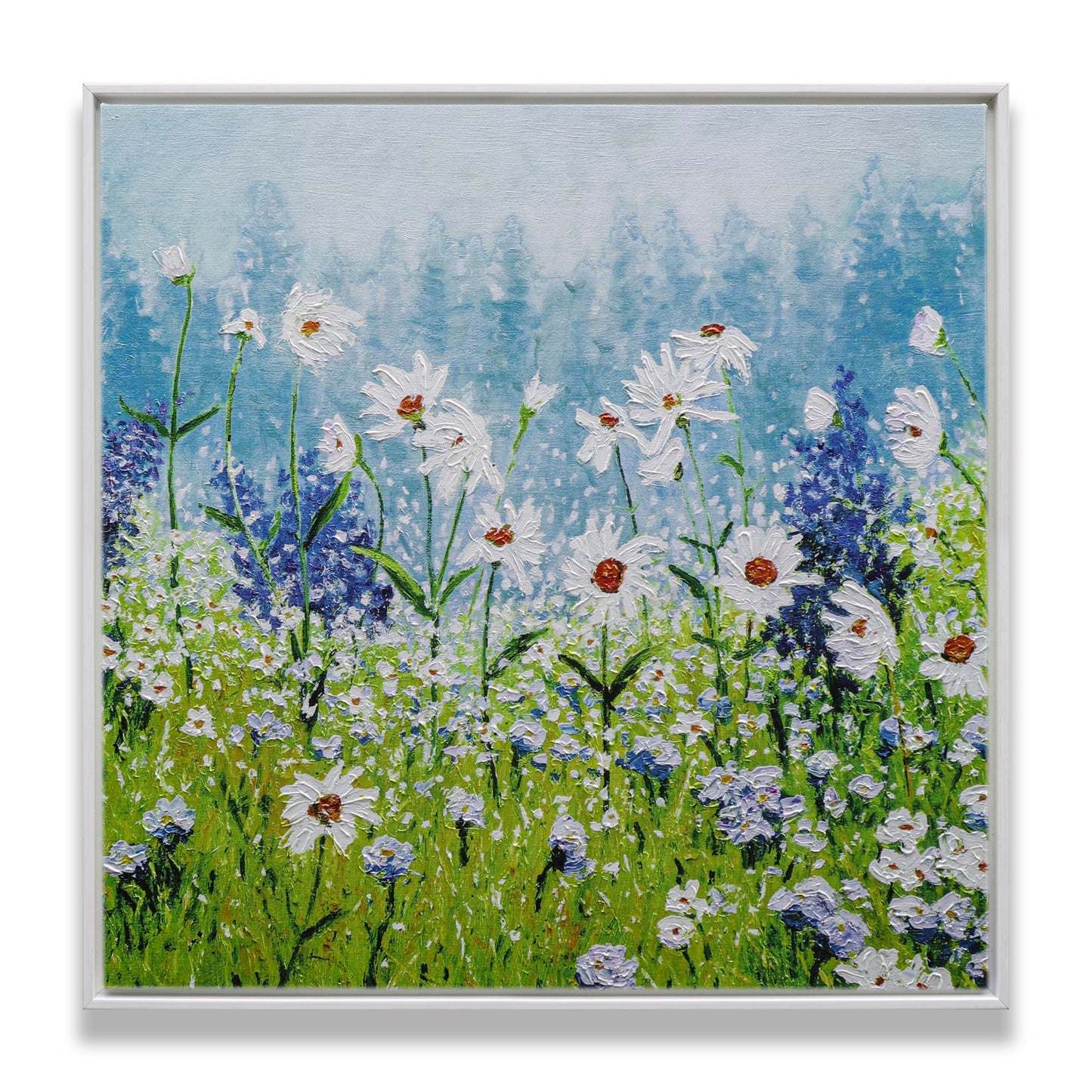 Daisies Field
