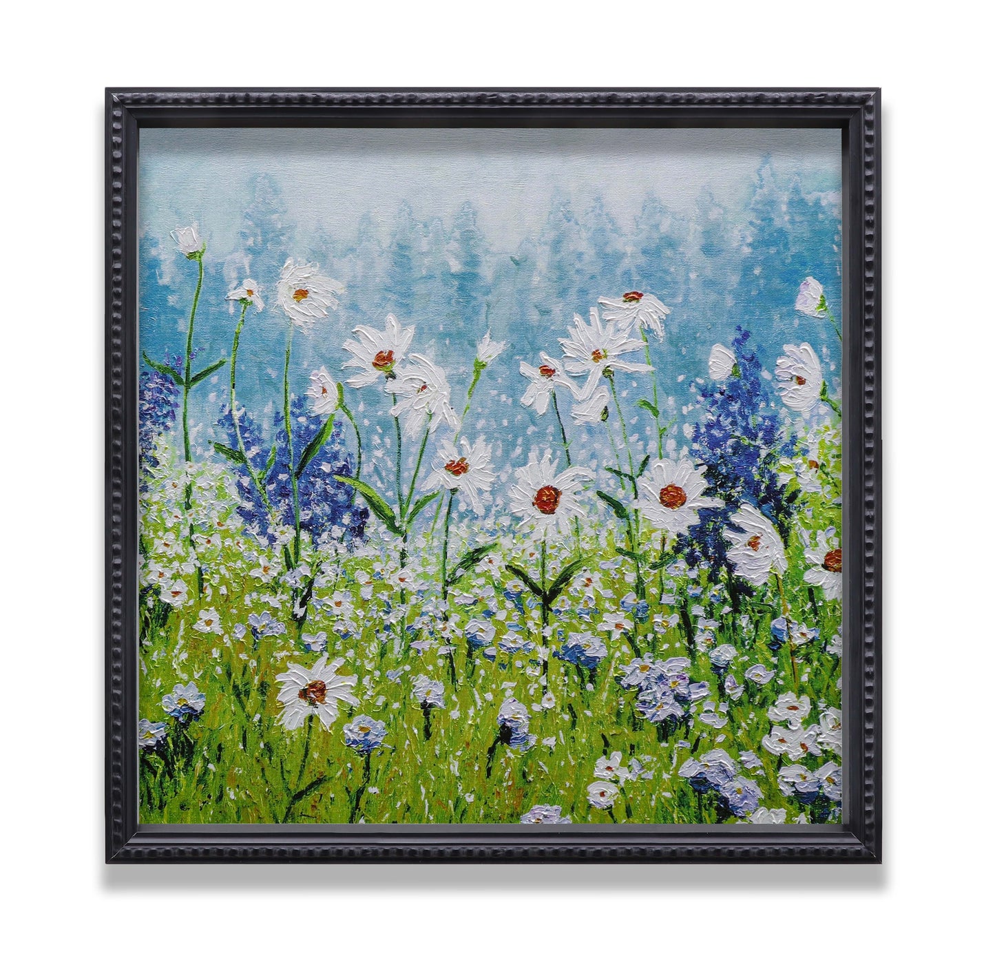 Daisies Field