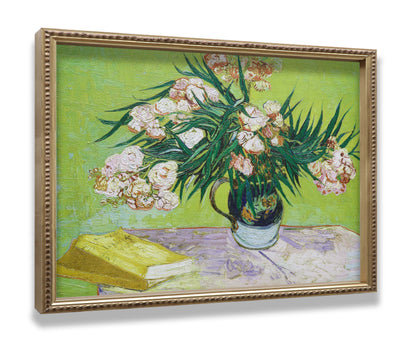 Oleanders