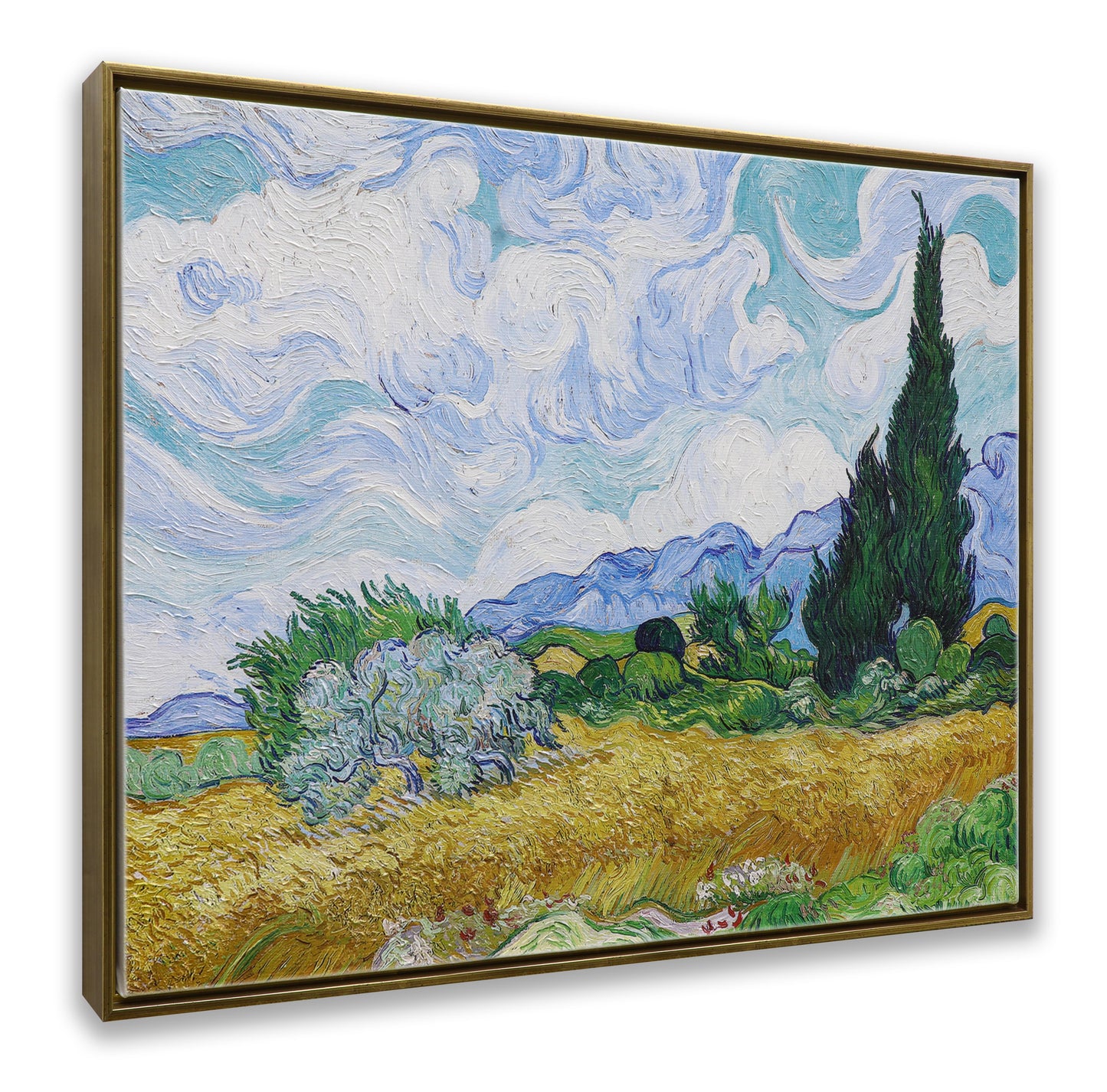 Wheat Field with Cypresses