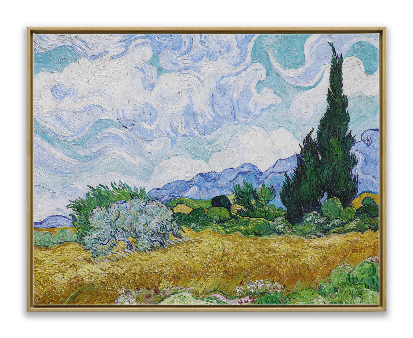 Wheat Field with Cypresses