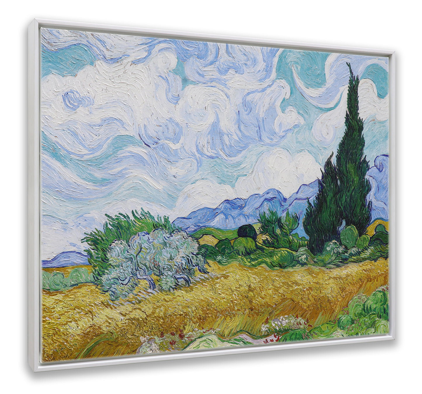 Wheat Field with Cypresses