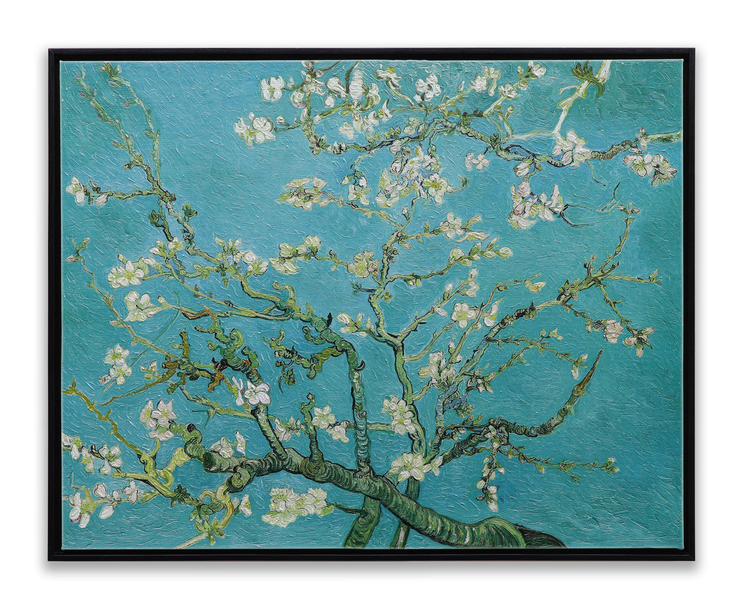White Almond Blossom
