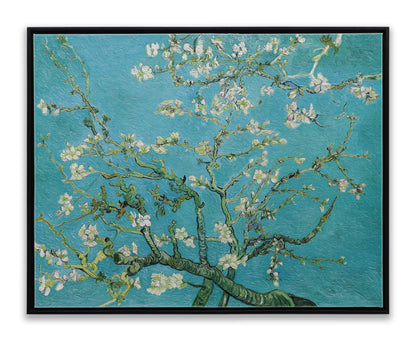 White Almond Blossom