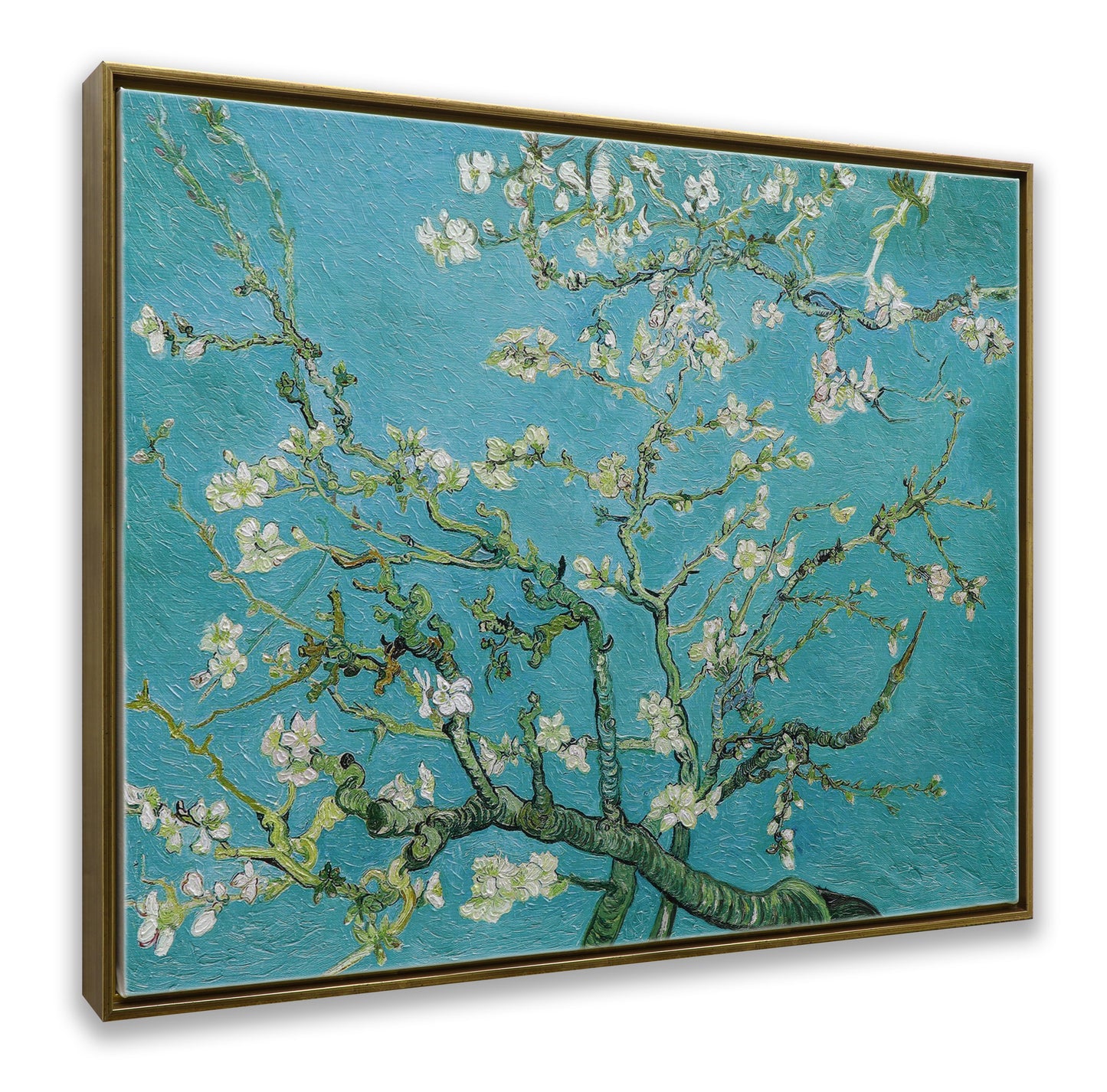 White Almond Blossom