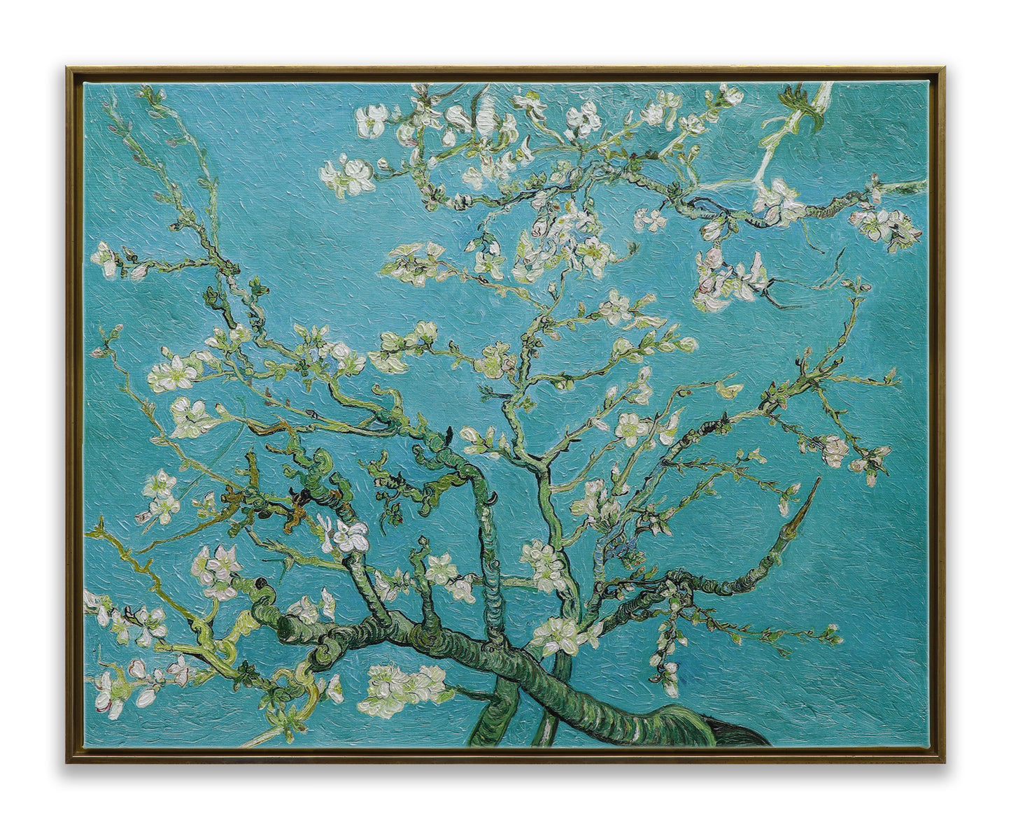 White Almond Blossom
