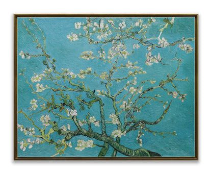 White Almond Blossom