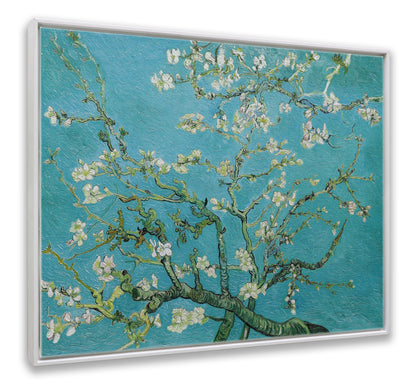 White Almond Blossom