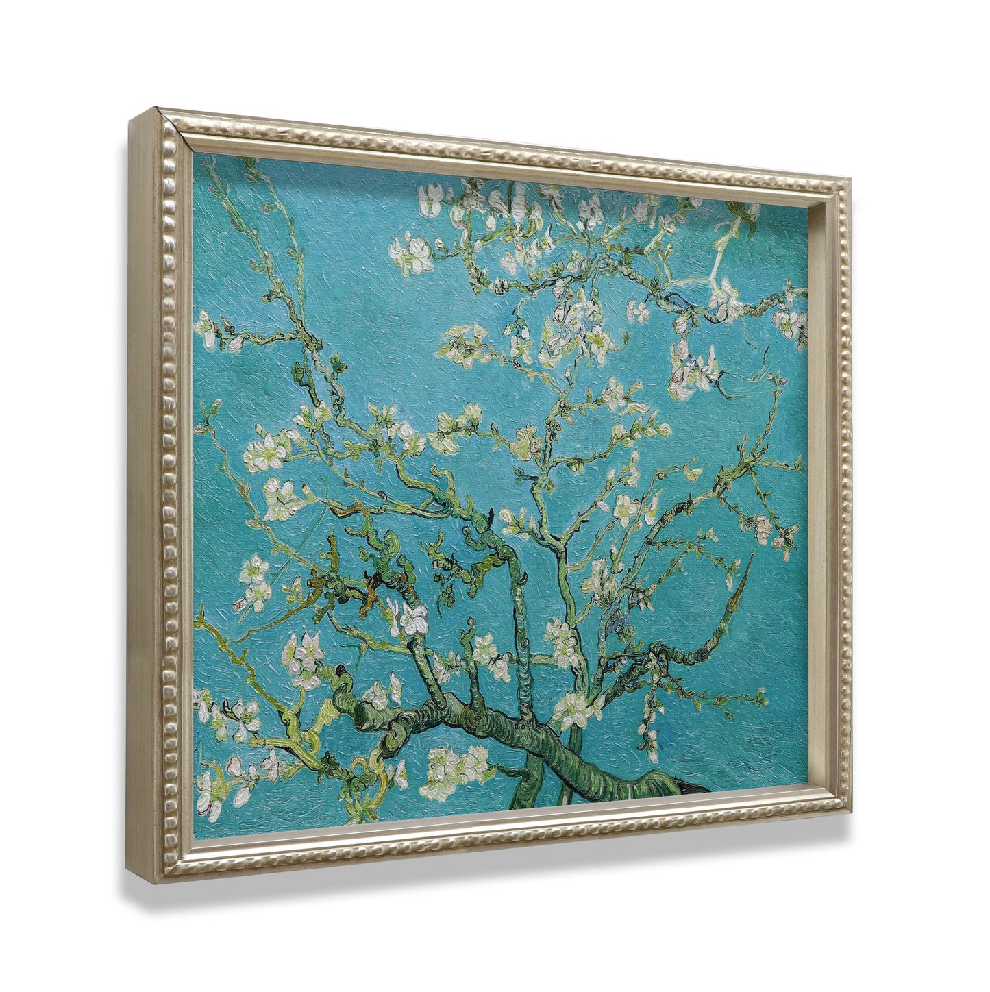 White Almond Blossom