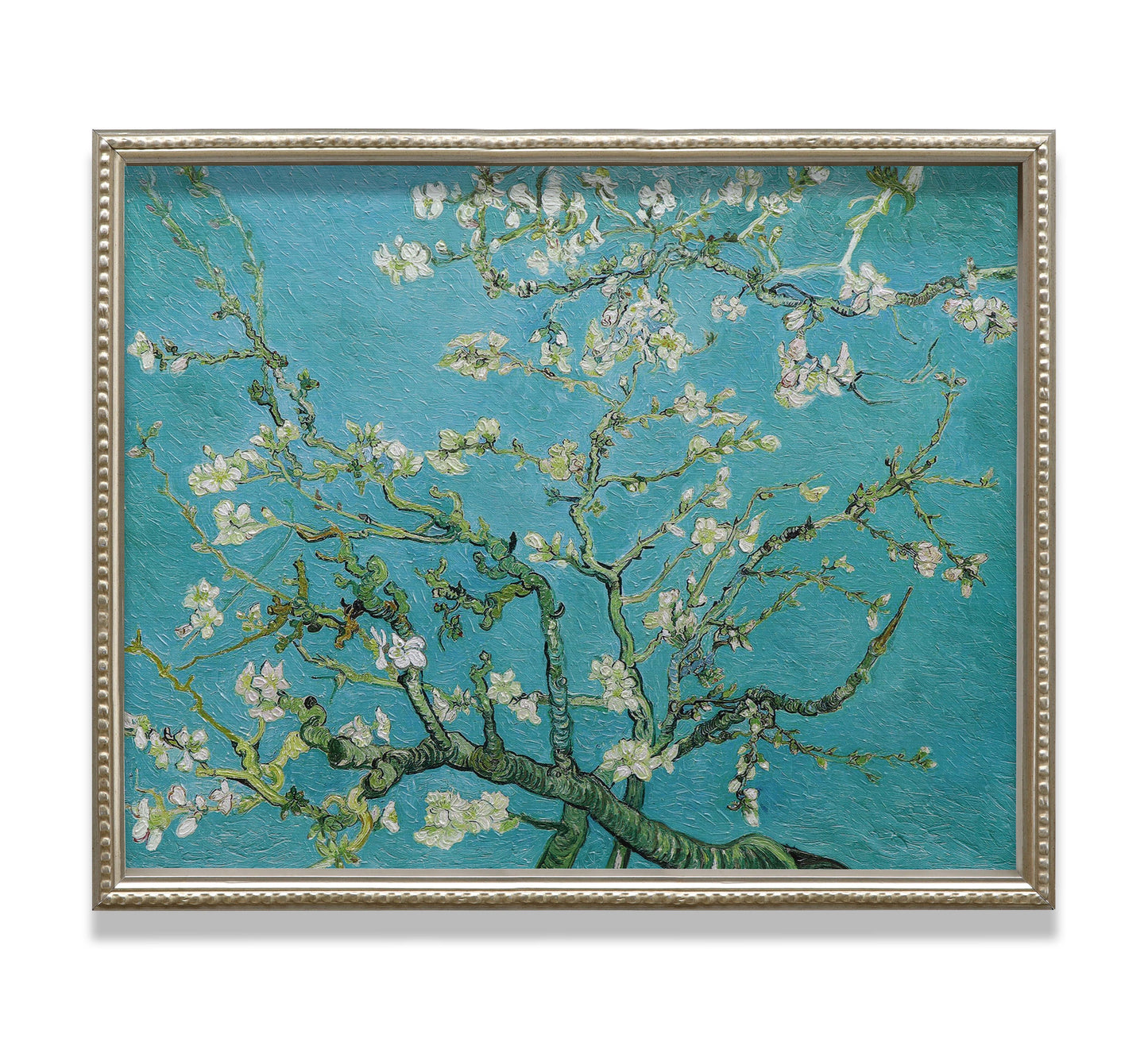 White Almond Blossom