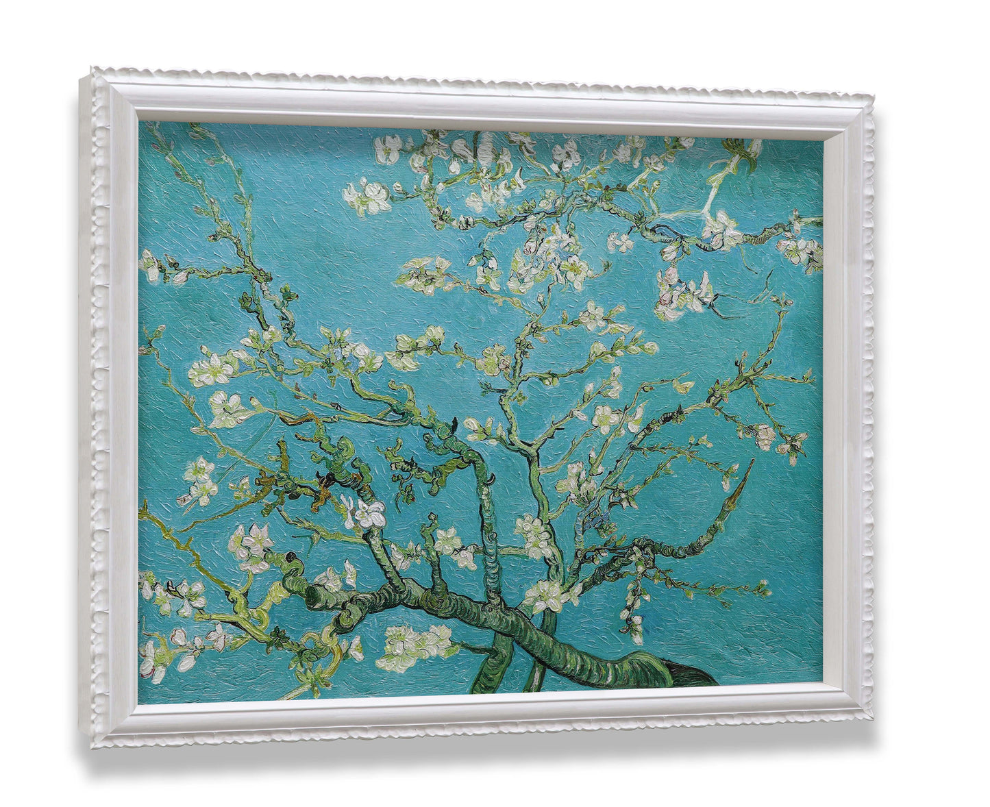 White Almond Blossom