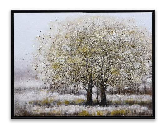 Winter Maple Tree