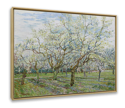 The White Orchard