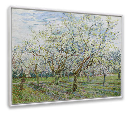 The White Orchard