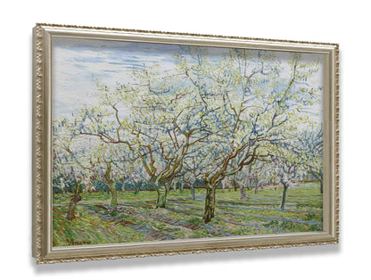 The White Orchard