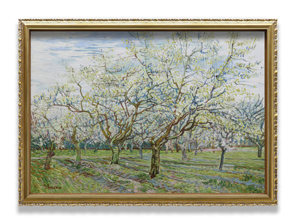 The White Orchard