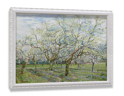 The White Orchard