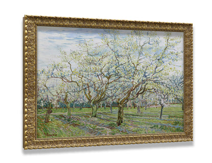 The White Orchard