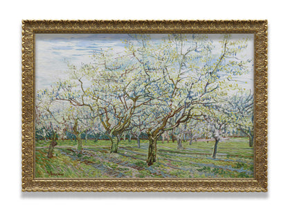 The White Orchard