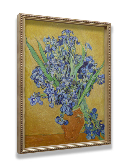 Irises in Vase