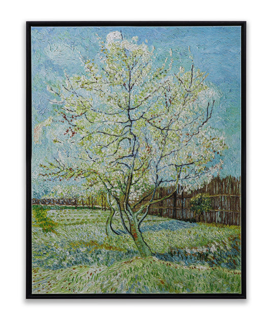 Blossoming Peach Tree Orchard