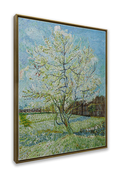 Blossoming Peach Tree Orchard