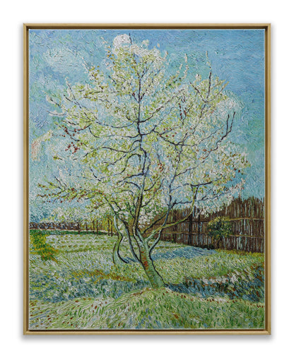 Blossoming Peach Tree Orchard