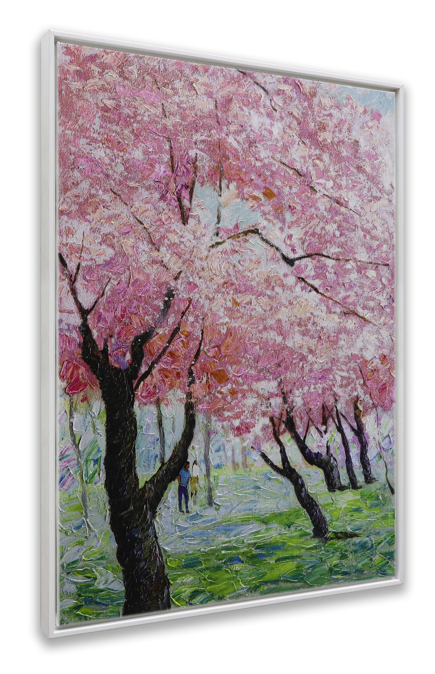 Japanese Sakura Pink Blooming