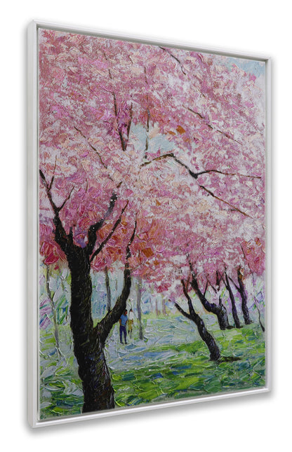Japanese Sakura Pink Blooming