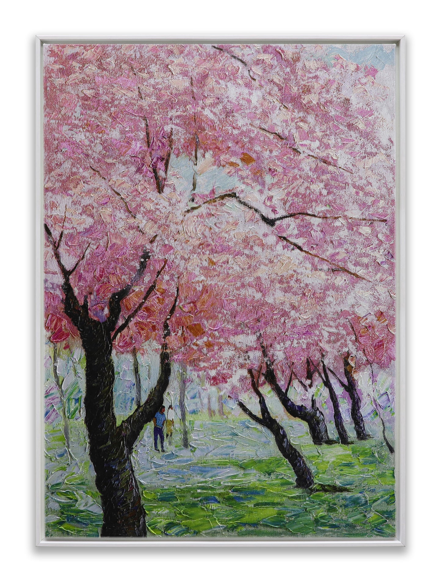 Japanese Sakura Pink Blooming