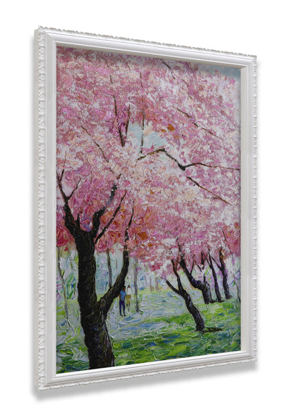 Japanese Sakura Pink Blooming