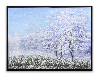 Winter Snow Forest