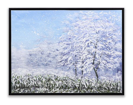 Winter Snow Forest