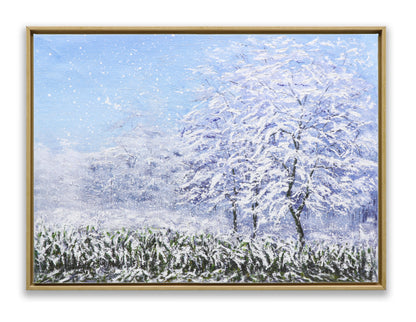 Winter Snow Forest