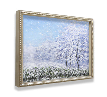 Winter Snow Forest