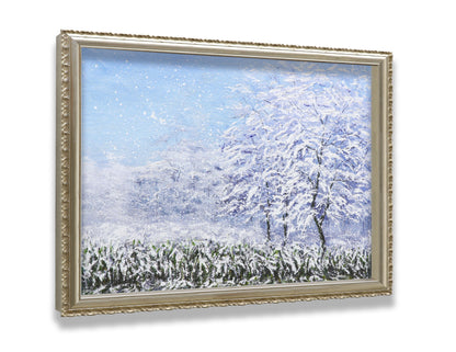 Winter Snow Forest