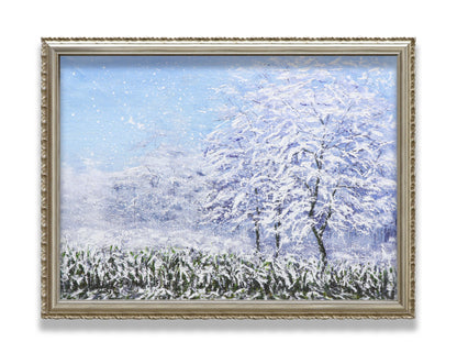 Winter Snow Forest