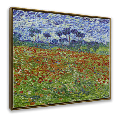 Poppy Field