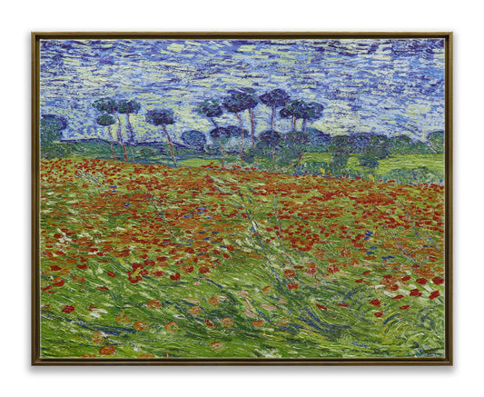 Poppy Field
