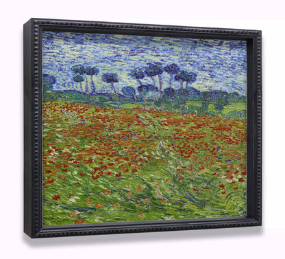 Poppy Field