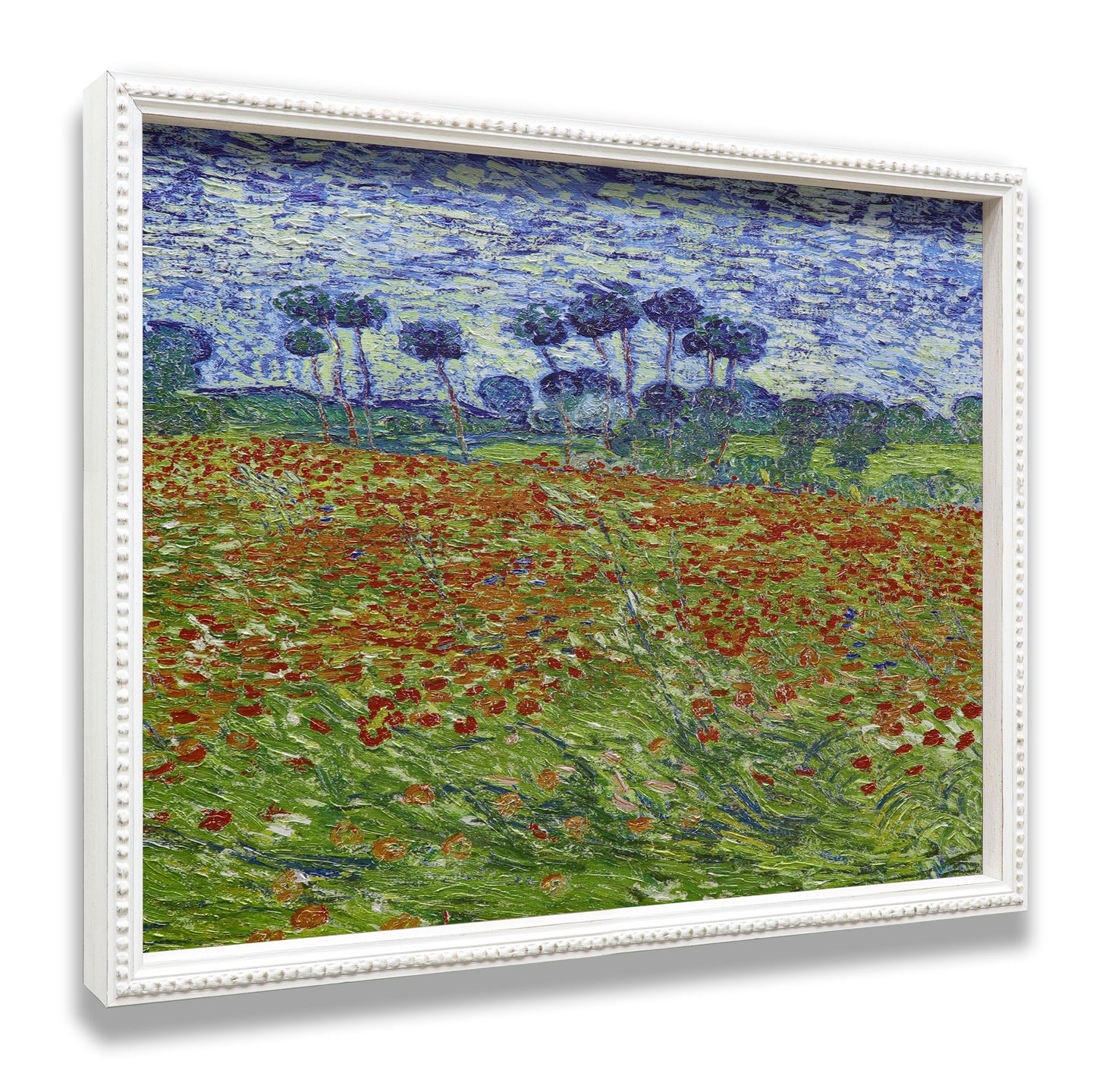 Poppy Field