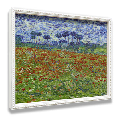 Poppy Field