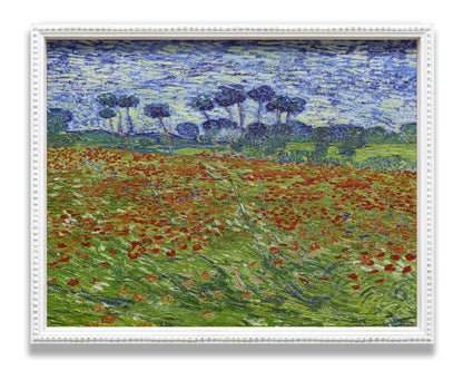 Poppy Field